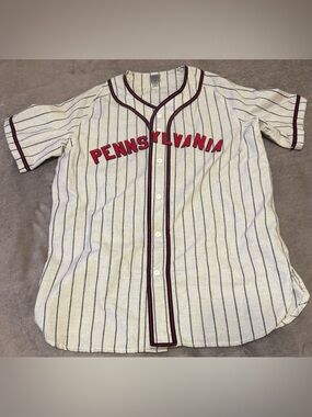 Ebbets Field Flannels Pennsylvania Baseball Jersey Large Wool Vintage Style USA